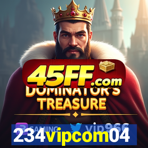234vipcom04