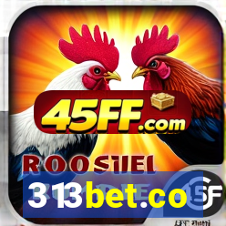 313bet.co