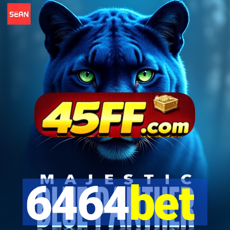 6464bet