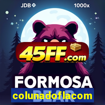 colunadoflacom