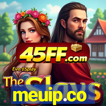 meuip.co
