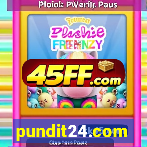 pundit24.com